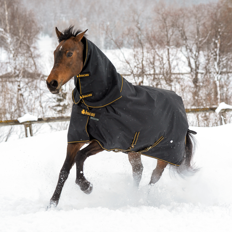 Bucas Irish 50g Turnout Rug and Neck Set - Black/Gold-3
